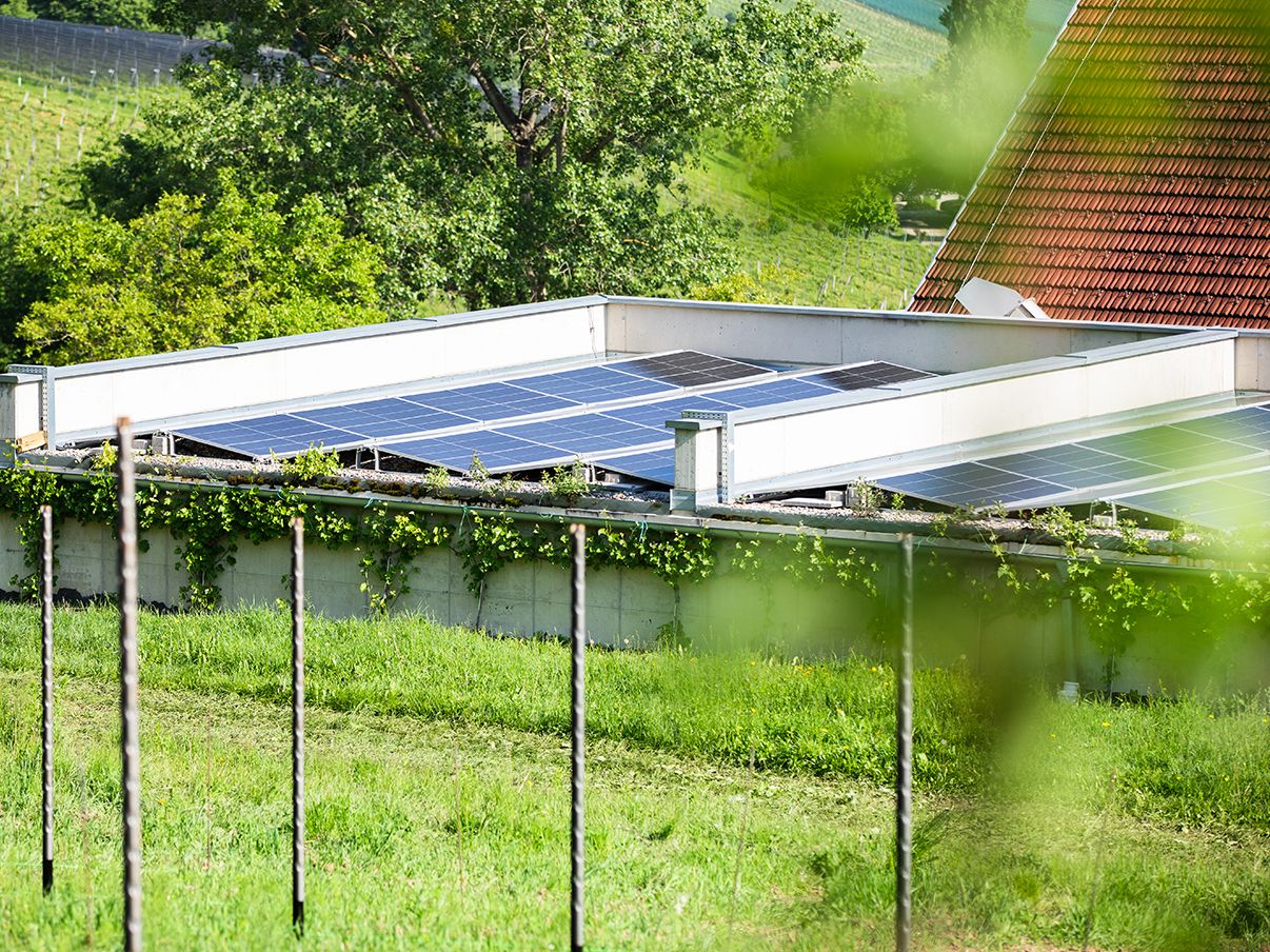 Fotonaponski sustav na livadi